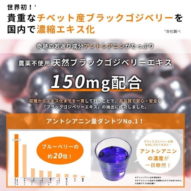 送料無料 ブラックゴジベリーサプリメント サプリ 1ヶ月 美容 美肌 目 眼 疲れ 健康 パソコン スマホ サプリメント 62粒 アントシアニン 女性 男性 黒枸杞 黒クコ 産直ザ ワールド