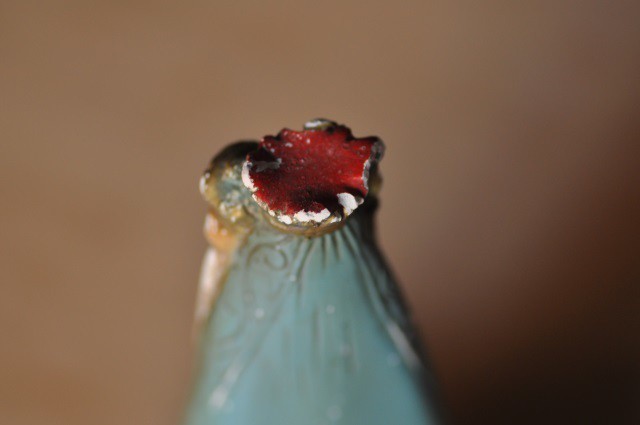 青き衣の聖母子像 Landschapboek