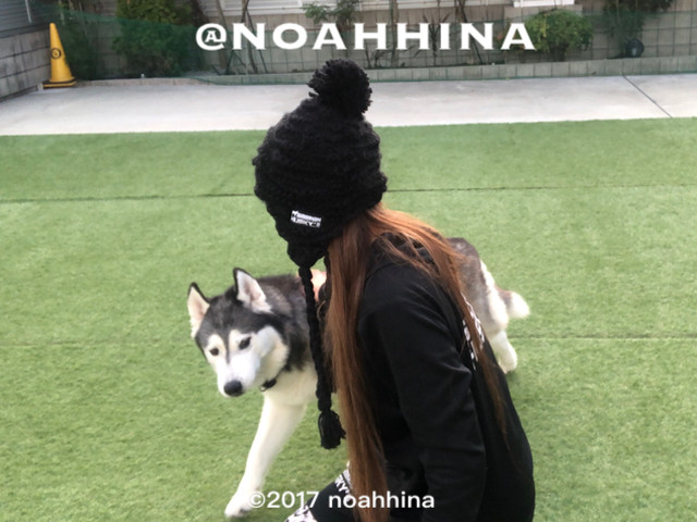 耳あてニット帽006 シベリアンハスキー Noahhina Siberian Husky S Noahhina