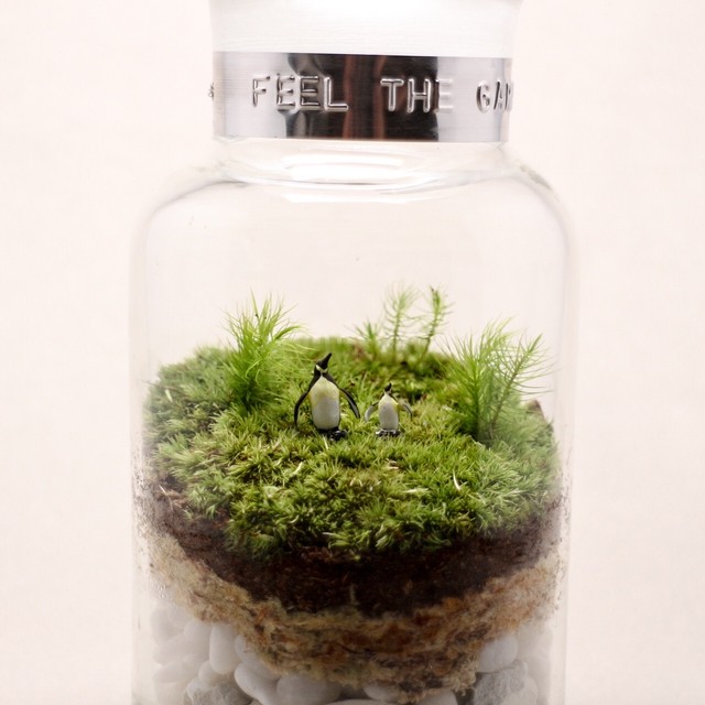 苔のテラリウム ペンギンの丘の風景 薬瓶250ml Feel The Garden