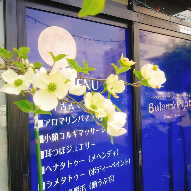 毎月10名限定月募集 ９4回開催 第2土曜しおる先生の魔女タロット会 ヴァルプルギスの夜 魔女の春の宴 魔女の夜会 ブロッケン山 ハットリ君の元気玉 緑魔女の緑占いに 大人の天然石 アクセサリー材料パーツshop ぶらんぴじゃっと