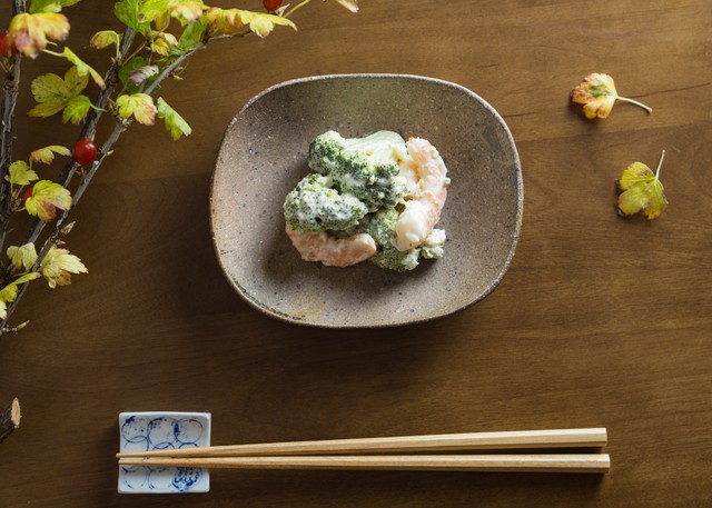 炭化焼締 角皿(小皿・取皿・和食器)/阿部 恵里