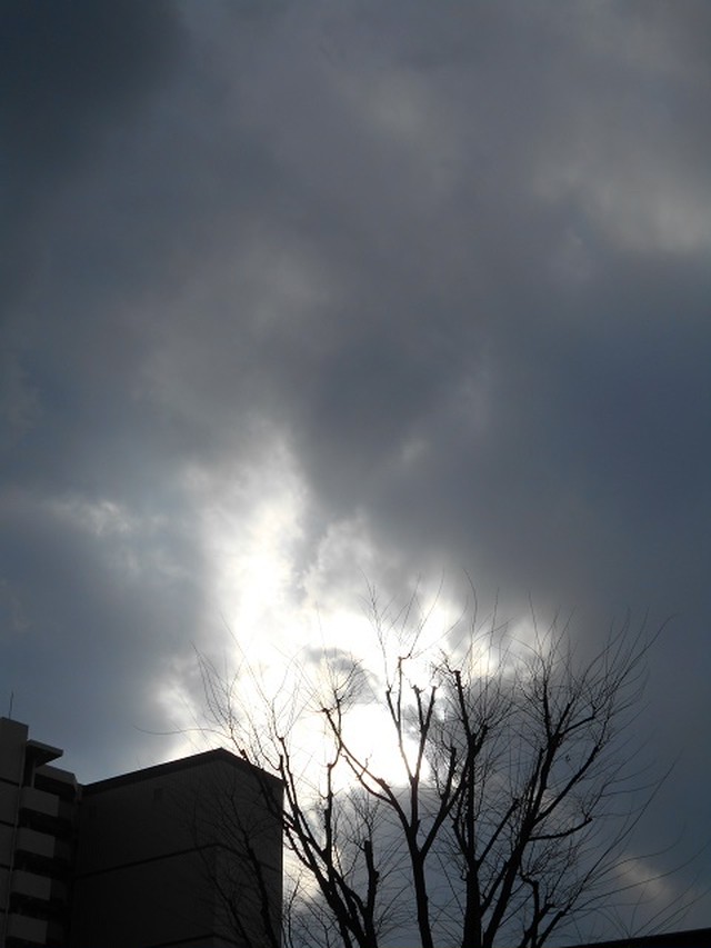 暗い空 写真屋 1 依田清一 Seiichi Yoda 暗い空 写真屋 1 依田清一 Seiichi Yoda