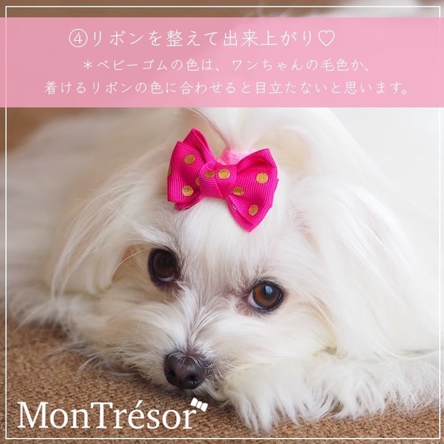 リボンの付け方講座 Montresor