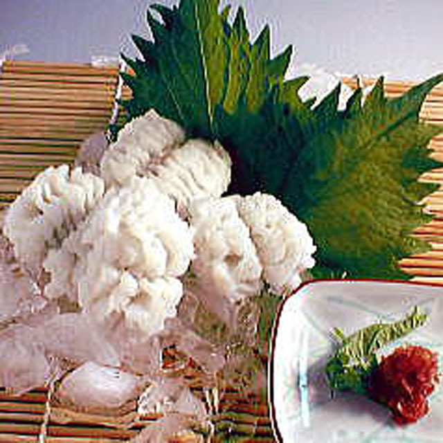 明石 淡路の天然鱧湯引きファミリーセット ２ ３人前 旬のおいしいお魚が食べたい