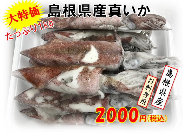 島根県産 真イカ 刺身用 冷凍 たっぷり1kg Tenjinshop