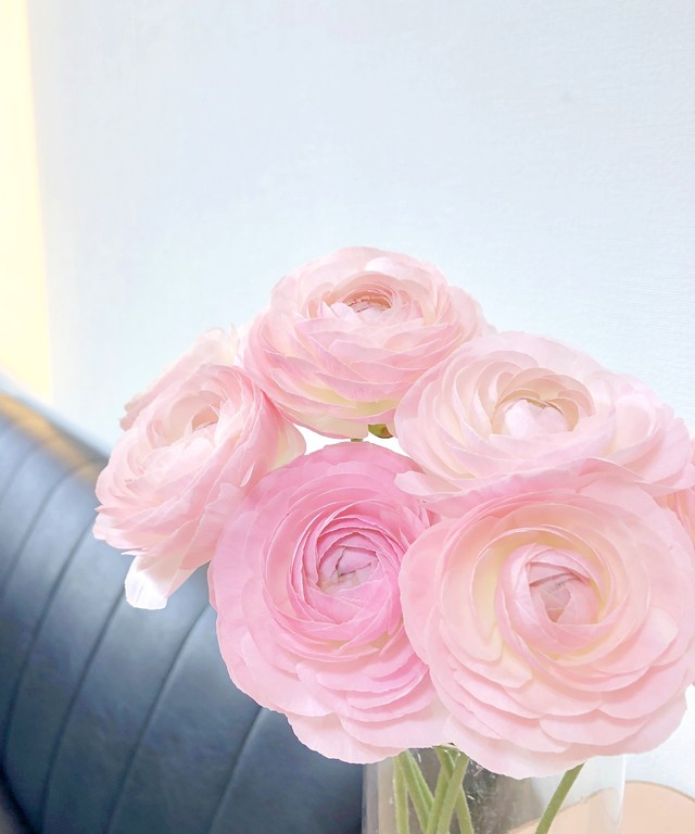 フラワースピリット 特集 Jp Farmers Com