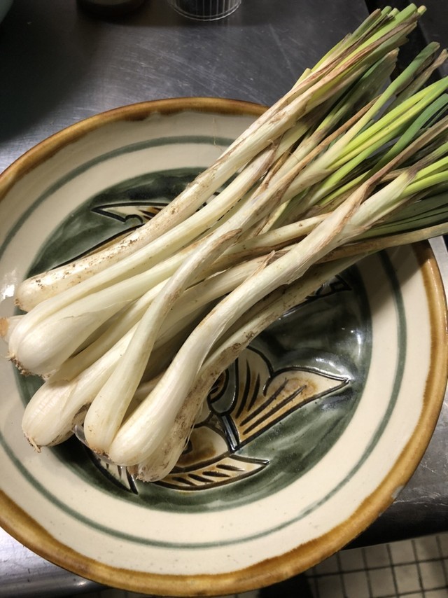 伊江島の知念さんの畑の島らっきょう 天ぷら用生です。皮をむいてあるのですぐに調理できます。