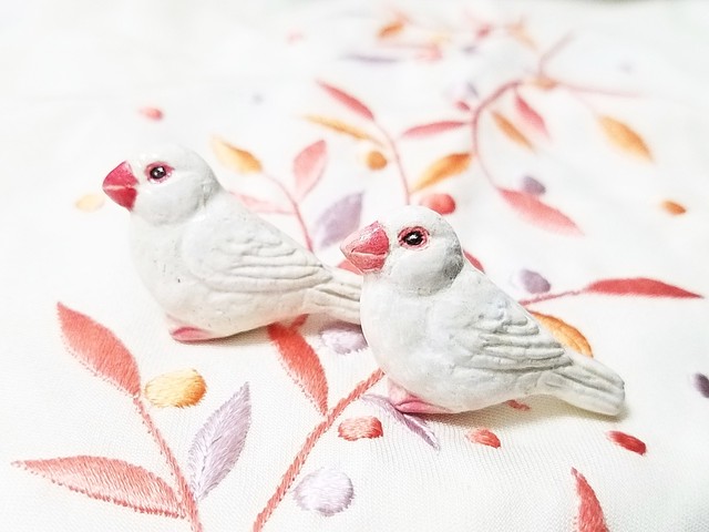 最も検索 文鳥 壁紙 スマホ