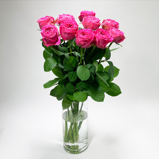 Rose ボムグラニット 10本 (JAひまわり バラ部会)