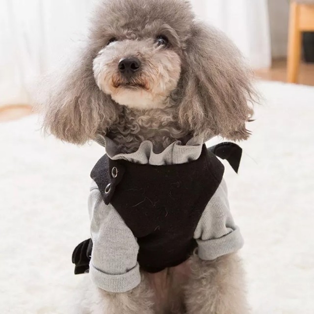 ワンピース セット売り 秋冬 上品 犬服 ドッグウェア ペット服 わんこ Bandp Dog Wear わんこのお洋服 犬服 ペット服