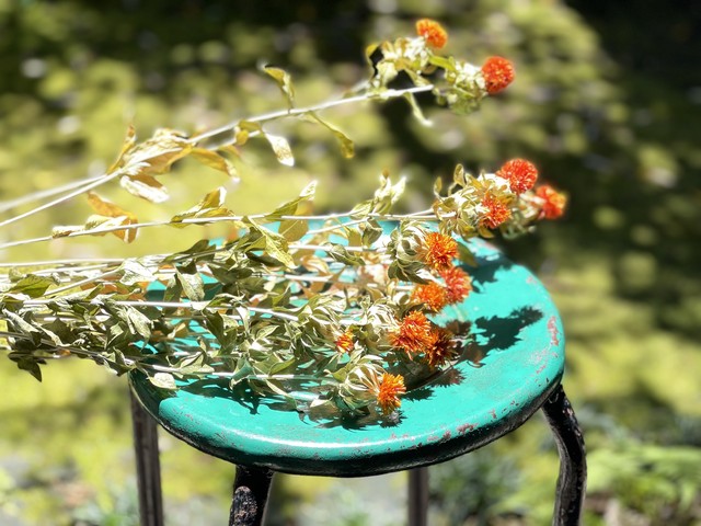 紅花 ベニバナ 3束 バンギングドライフラワー Cercele