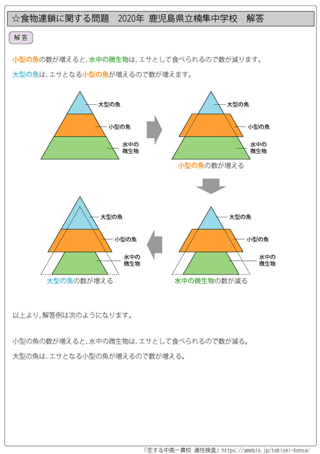 食物連鎖編 全国公立中高一貫校 適性検査 理科テーマ別 過去問題解説集 自宅でできる受験対策ショップ ワカルー Wakaru