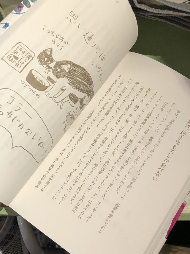 猫本 猫は うれしかったことしか覚えていない エッセイ 単行本 ミロコマチコ 石黒由紀子 猫エッセイ コチカーニバル