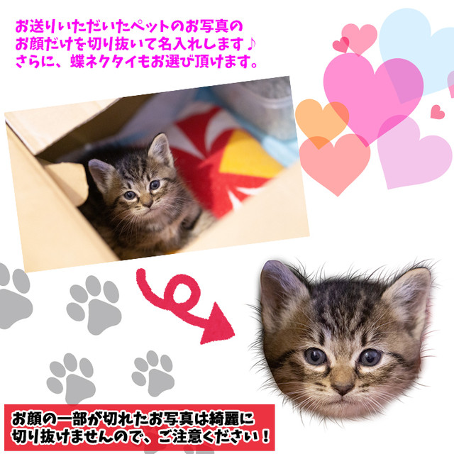 うちのペット フェイス 名入れ 本革 薄型長財布 6色 犬 猫 イヌ ねこ いぬ 愛犬 愛猫 印刷 名入れ かわいい うす型 レディース メンズ 可愛いcoverでナイスcover Awesome