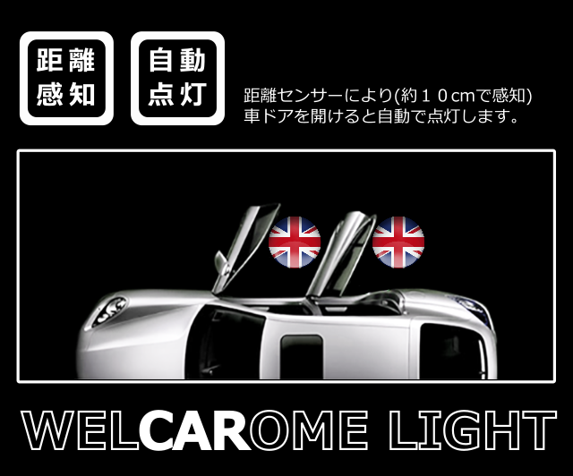 バタフライ ウェルカームランプ フィルムセット ２個入り カーテシランプ カーテシーライト 車ドア Led Welcarome Light Film 青い蝶 Cc Rainbow