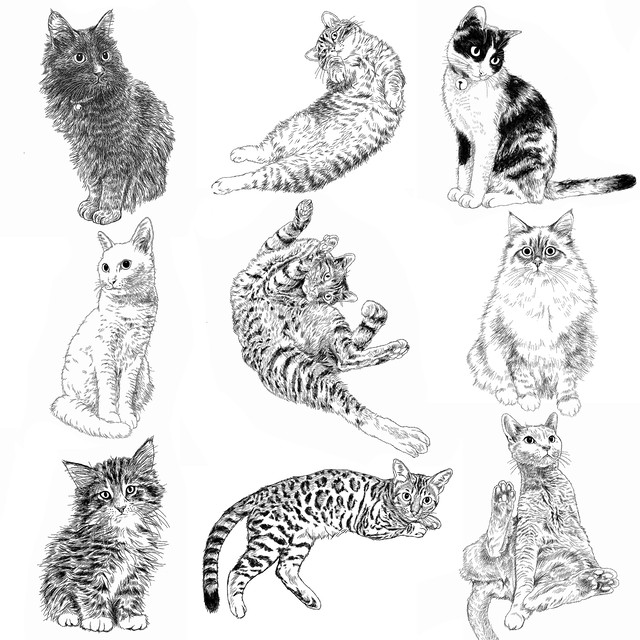 猫の手描きイラスト 似顔絵 白黒 作成 全身 動物 人間可 猫雑貨 グッズ通販 猫や動物イラスト 似顔絵作成 365cat Art
