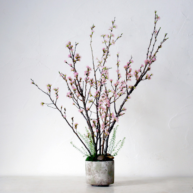桜の鉢植えを自作できる｜花工房あげたけ「自宅で！桜のお花見キット」