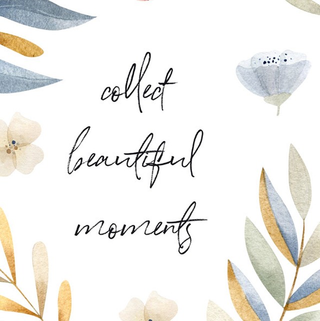Collect Beautiful Moments アートポスター インテリア 2l 花 フラワー 植物 文字入り メッセージ イラスト Little Kot