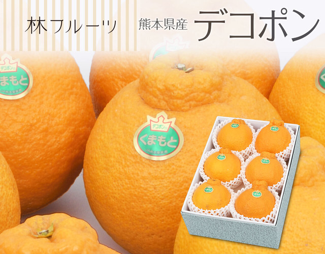 熊本県産 デコポン6玉(計約1.8㎏)〔送料無料、デコポン、不知火、柑橘、詰め合わせ、贈答用〕