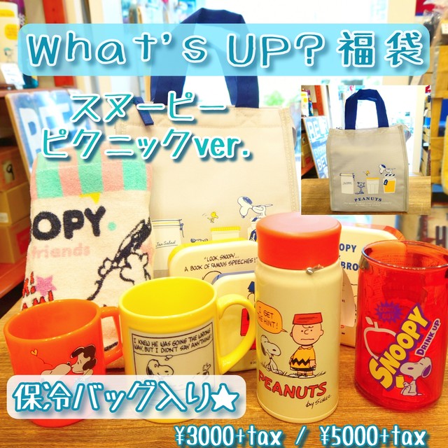 福袋 予約受付 3000 スヌーピーピクニックver ランチボックス コップ タオル 保冷バッグ タンブラー Whatsupkobe