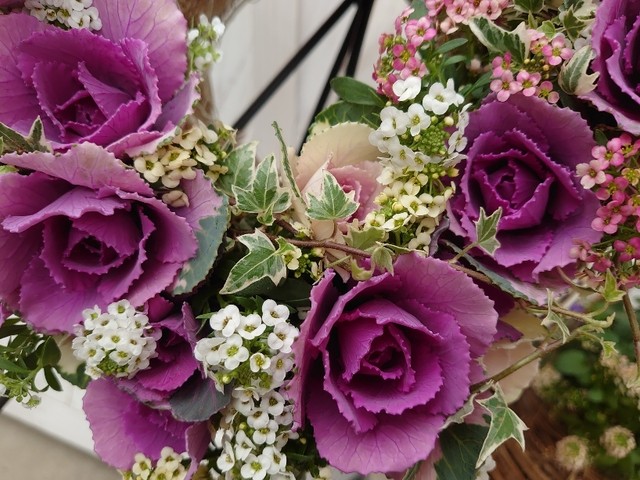 バラのような葉ボタンのリース 寄せ植え屋