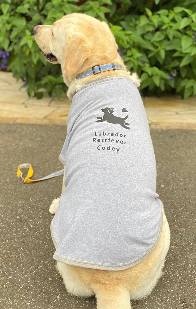 ラブラドールレトリバー 大型犬サイズのわんこ用tシャツ グレー ブラック Felicite