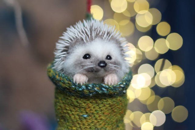 Dangling Hedgehog ぶらぶらハリネズミさん ハリネズミ人形作家おおたけみちこのお店 Michiko Ohtake Shop