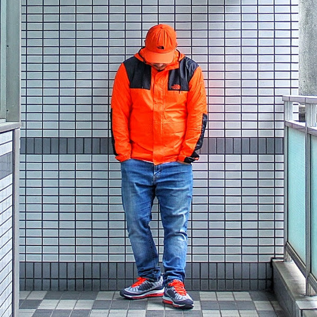 The North Face 1985 Mountain Jacket ノースフェイス マウンテンジャケット サイズ M L メンズ Dogmatic Online Store