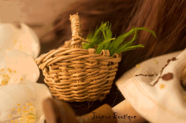 エコクラフト かご ブライス アイシードール ミニチュア アウトフィット Joyeux Boutique Petit Mono