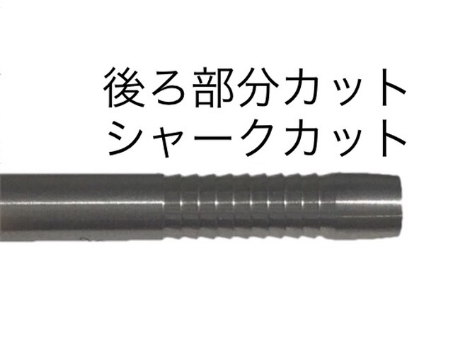 送料無料 小林知紗model Type2 Secret Base