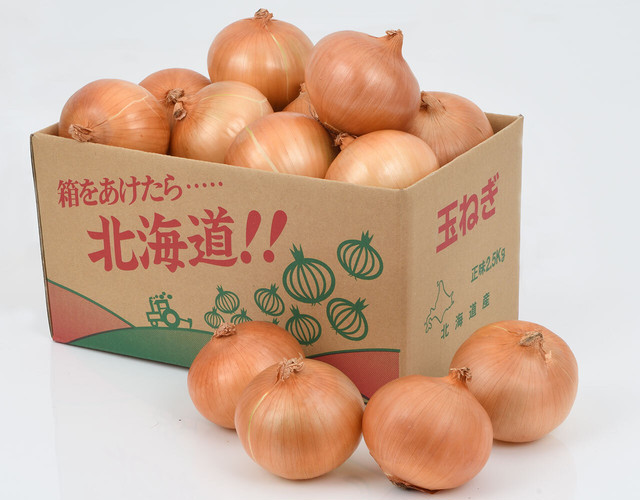 たまねぎ〔送料無料、玉ねぎ、タマネギ、野菜〕