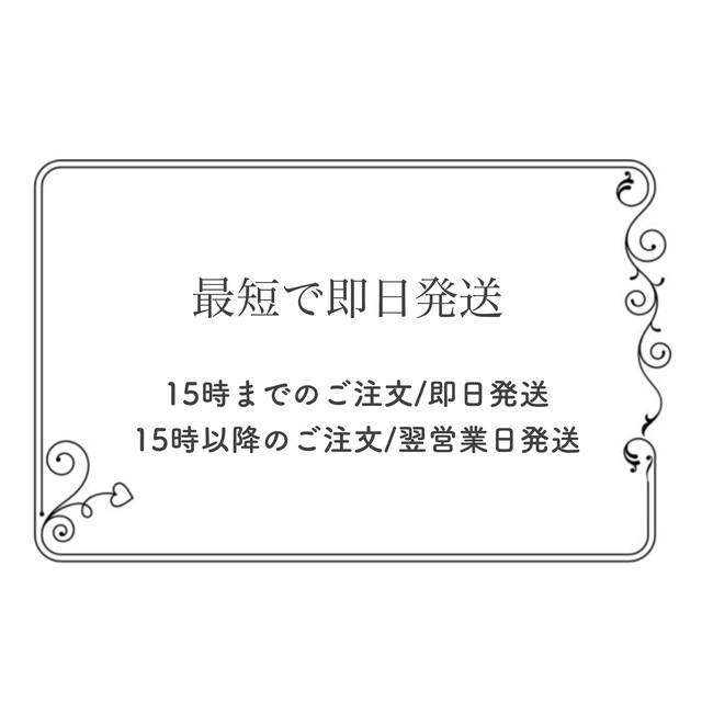 【お急ぎ便】＊最短で即日発送