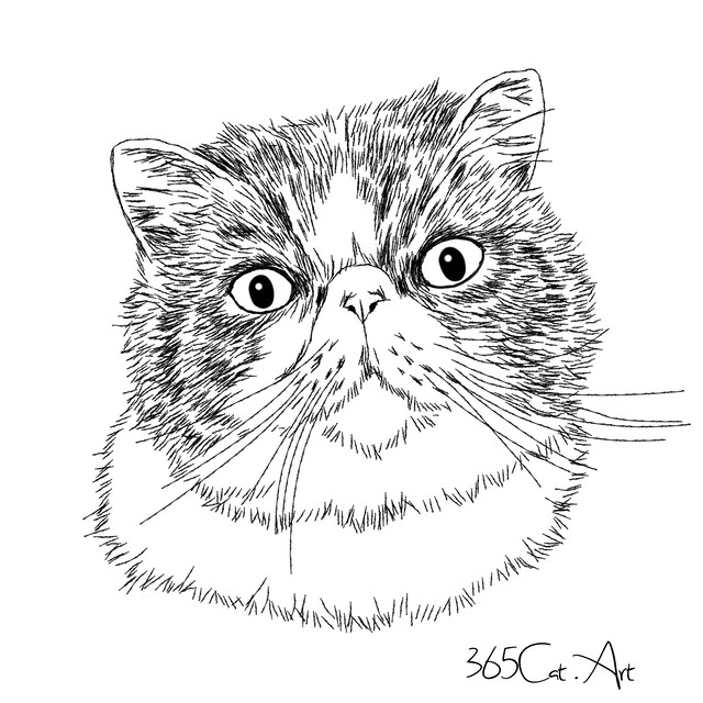 猫の手描きイラスト 似顔絵 白黒 作成 顔のみ 動物 人間可 猫雑貨 グッズ通販 猫や動物イラスト 似顔絵作成 365cat Art