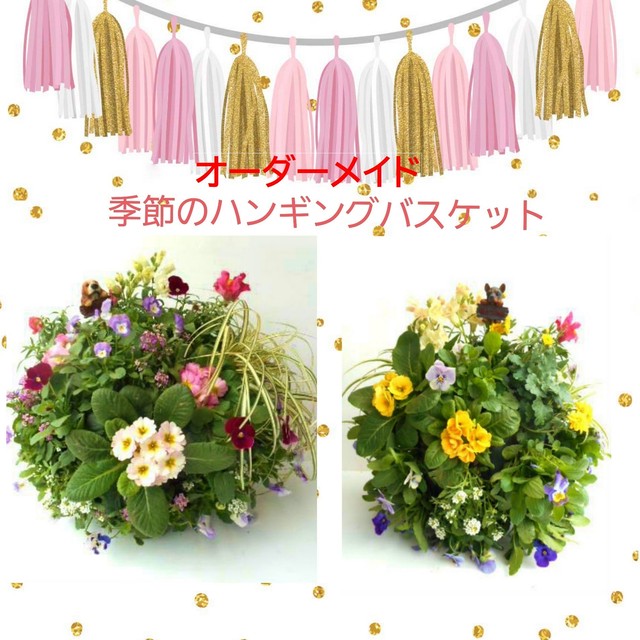 季節のハンギングバスケット寄せ植えオーダーメイド Mサイズ 要予約 Flowerーlove