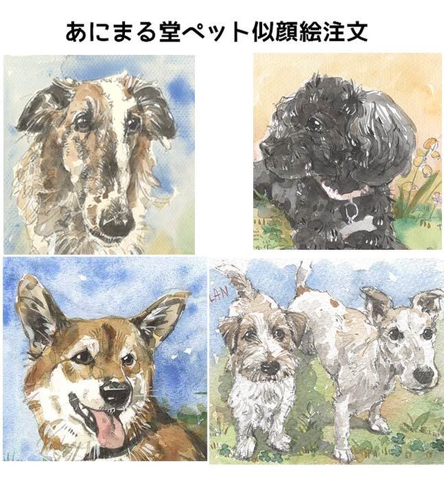 透明水彩ペット似顔絵 イラストボードb5サイズ あにまる堂 Animal Dou