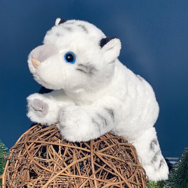 くったりサファリ 円山裏参道wawa ミュージアム