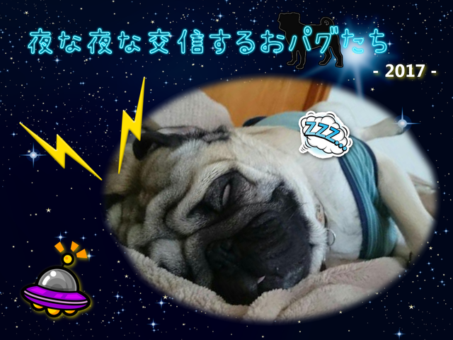 Poco 写真集 夜な夜な交信するおパグたち 17 Pug Poco オリジナルグッズ 通販