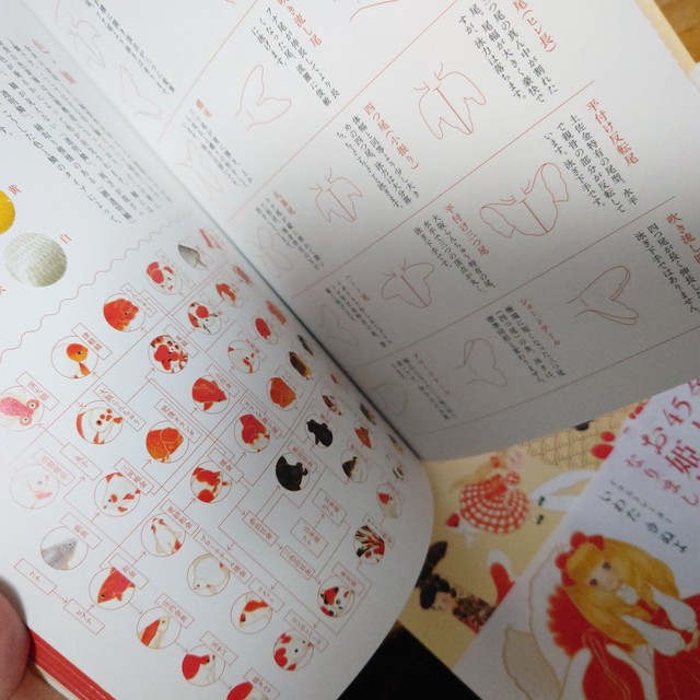 金魚姫図鑑 金魚擬人化イラスト集 極光金魚展