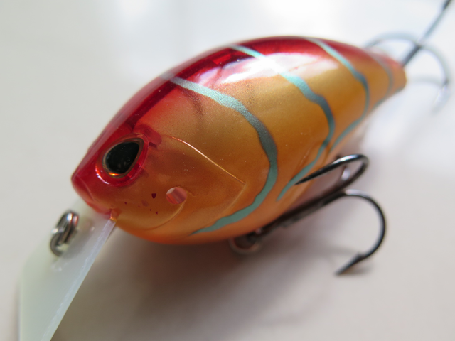 ストーム Storm アラシサイレントスクエア5 Arashi Silent Square 5 F L53 01 Tightlines