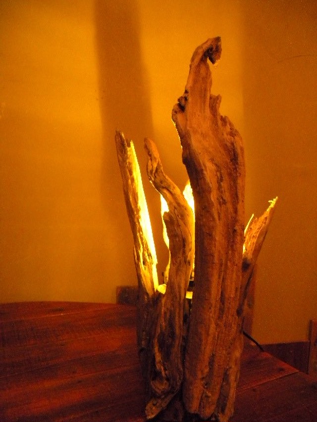 誕生 流木照明 ルームランプ 流木ランプ通販 Taimat 流木アート雑貨 インテリア家具