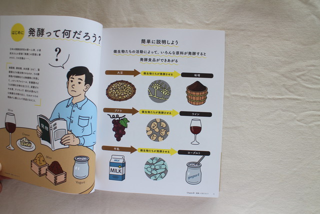 発酵はおいしい イラストで読む世界の発酵食品 Ferment Books おのみさ パイインターナショナル ブックスはせがわ Niigata Nagaoka Bookstore