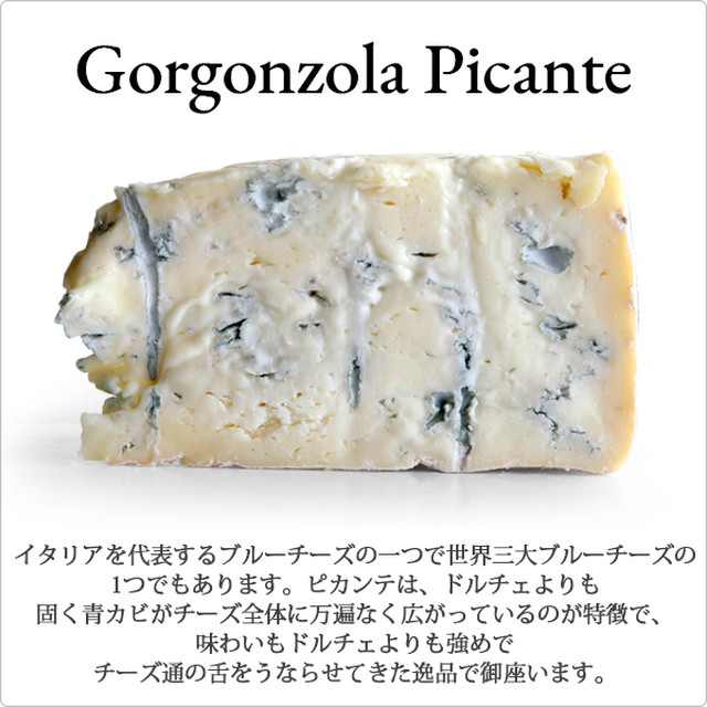 ゴルゴンゾーラ ピカンテ 約1 5kg 世界三大ブルーチーズ 業務用サイズ イタリア産 Cheese Paradise Tokyo