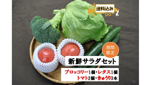新鮮サラダセット