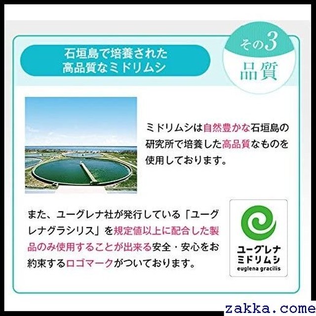 マルチユーグレナｗ サプリメント みどりむし ミドリムシ 60粒パウチ 699 Kkk