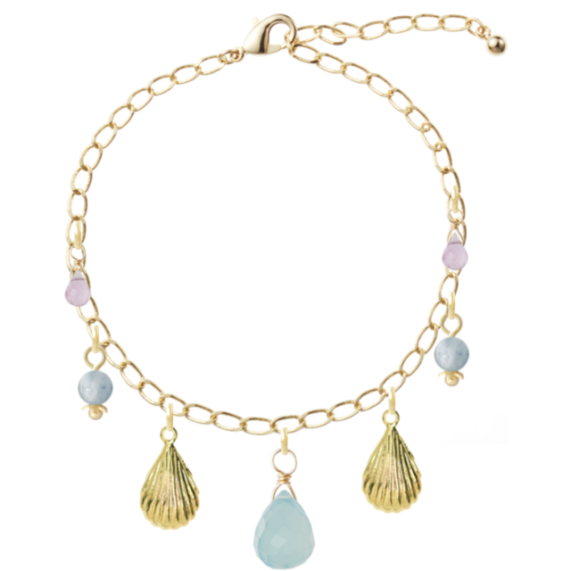 サメとエイの進化ポスター 折り畳み 疲れた時に眺めたい 系統樹マンダラ 軟骨魚類編 両面特大ポスター A1判 コンパクトになる折り畳みタイプ キウイラボ