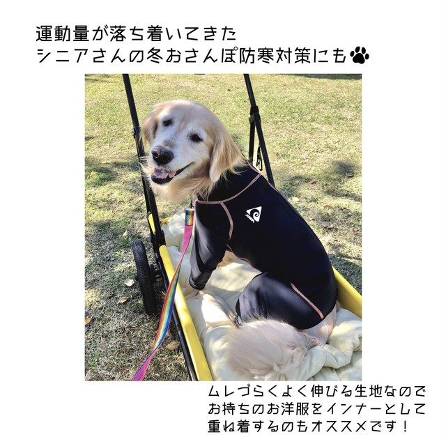 9号 ドッグスノースーツ大型犬用 Cfr Outdoor