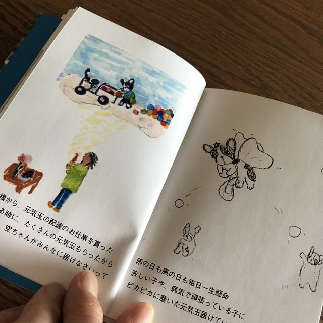 天使の羽根をもらったよ 虹の橋から愛をお届け 空のメ コパン