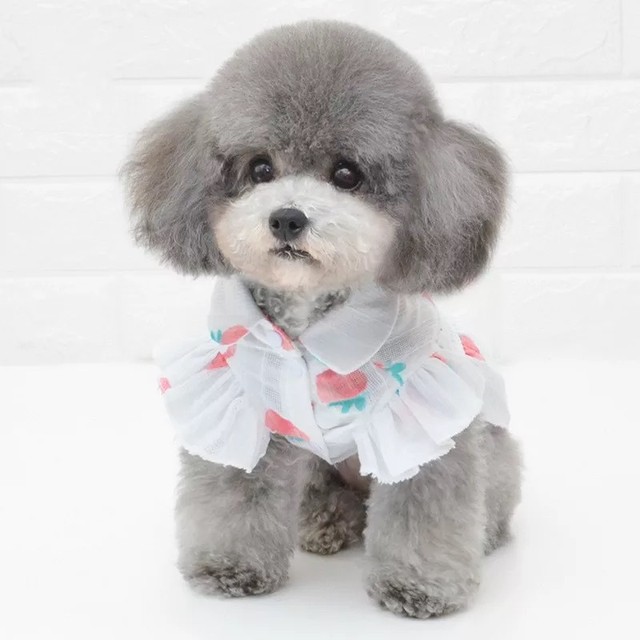 全2種 カップル ペアルック お揃い 春夏 犬服 ドッグウェア ペット服 わんこ Bandp Dog Wear わんこのお洋服 犬服 ペット服