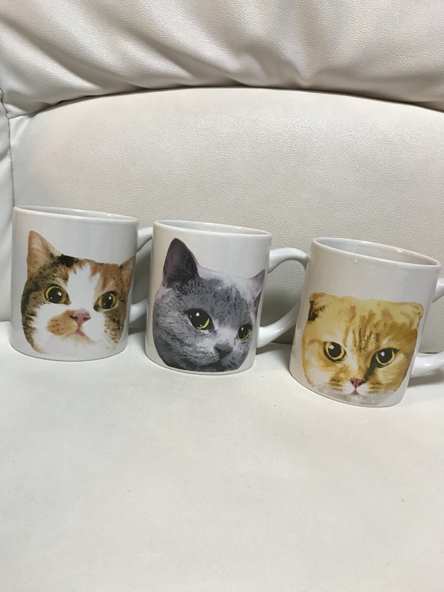 ぬこcoffee Cup コ ヒ カップ 三毛ぬっこ 茶とらぬこ シルバー猫 Seiko37